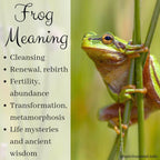Jumping Frog Necklace - 18