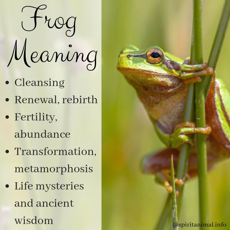Celtic Frog Necklace