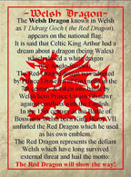 Welsh Dragon Money Clip - 
