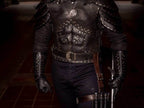 Witcher buckles - 