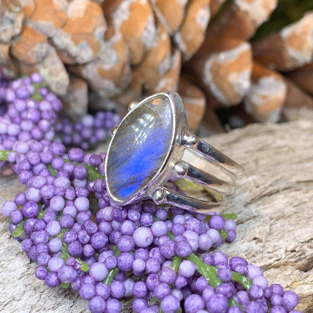 Celtic Mystic Labradorite Ring - 8 / Oval