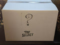 Mystery Loot Box - Random 3D Printed Dice Tower that is Hand Painted - 