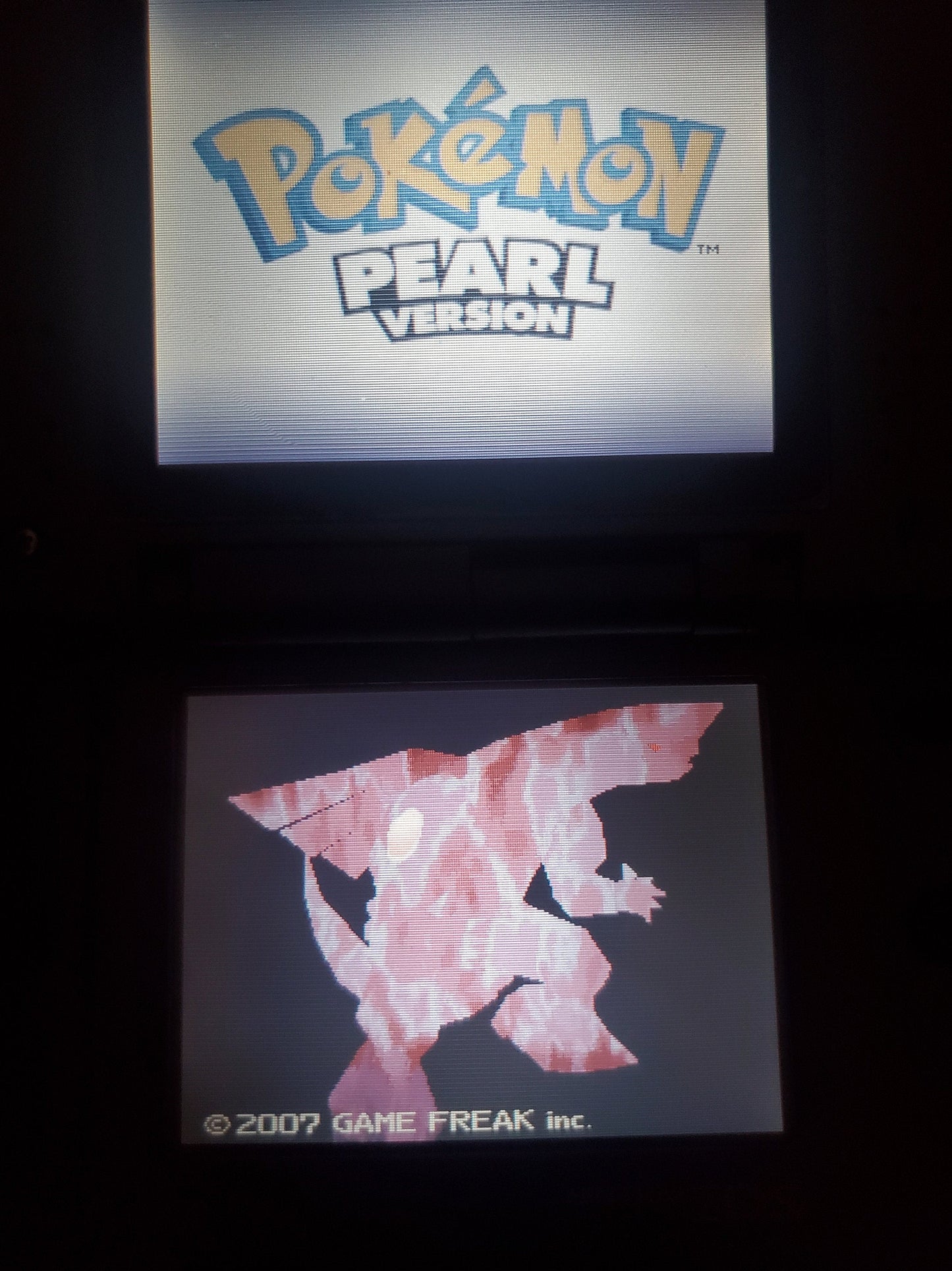 Nintendo DS Video Game Cartridge Collection