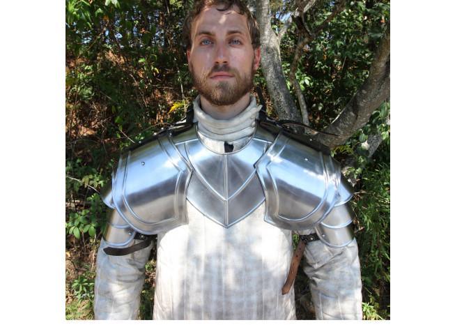 Knight in Shining Armor