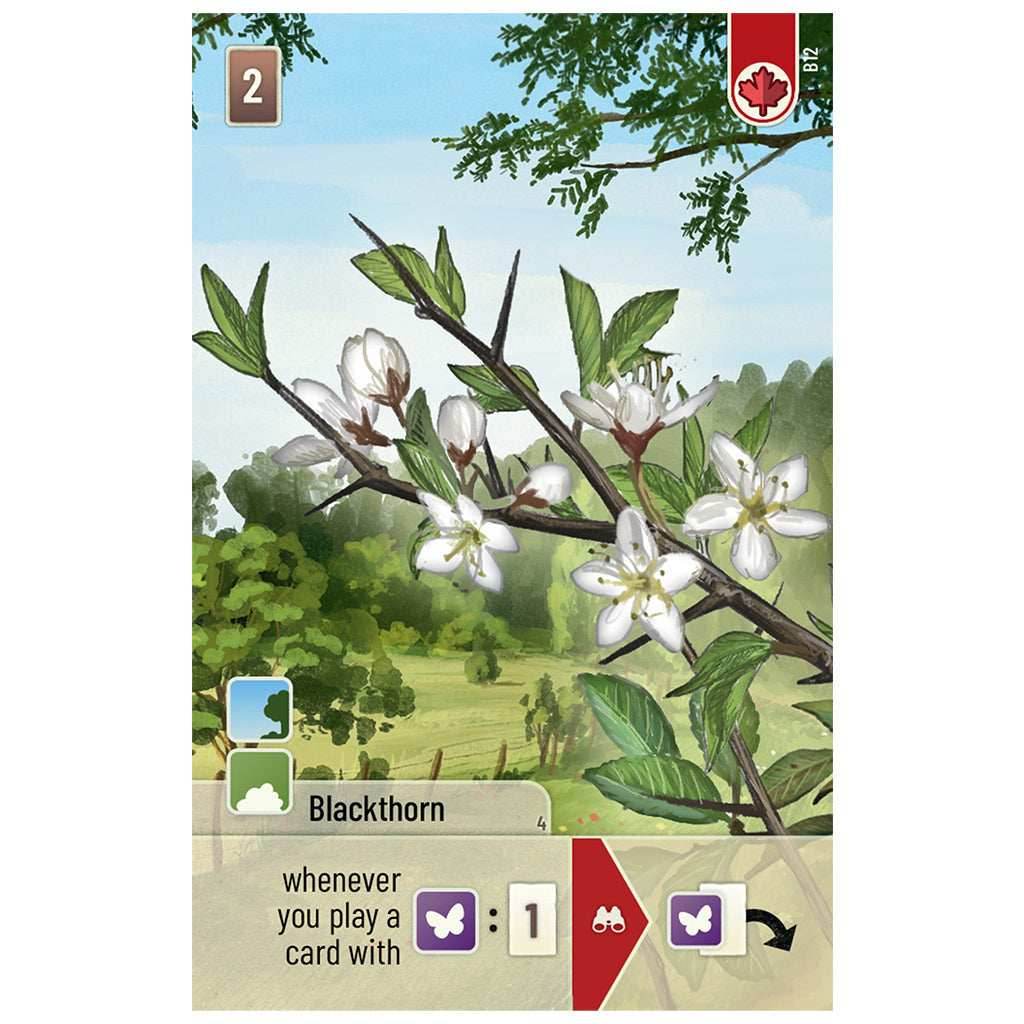 Forest Shuffle: Woodland Edge Expansion - 