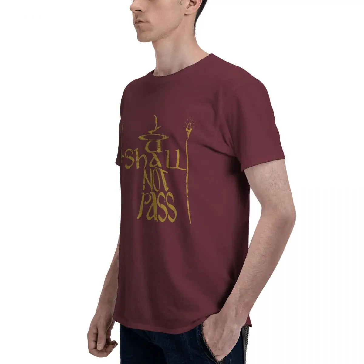 Lord Of The Rings You Shall Not Pass t-shirt