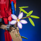 Scarlet Macaw