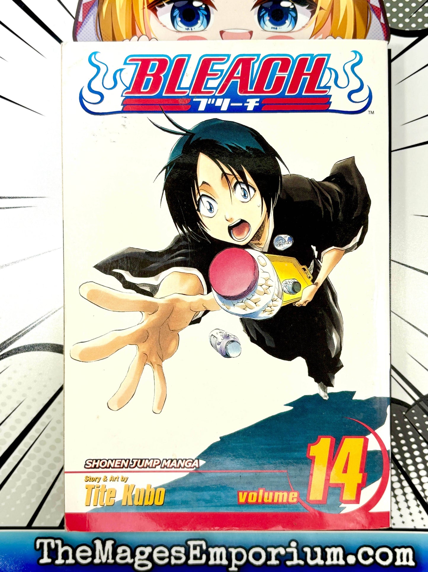 Bleach Vol 14 - 
