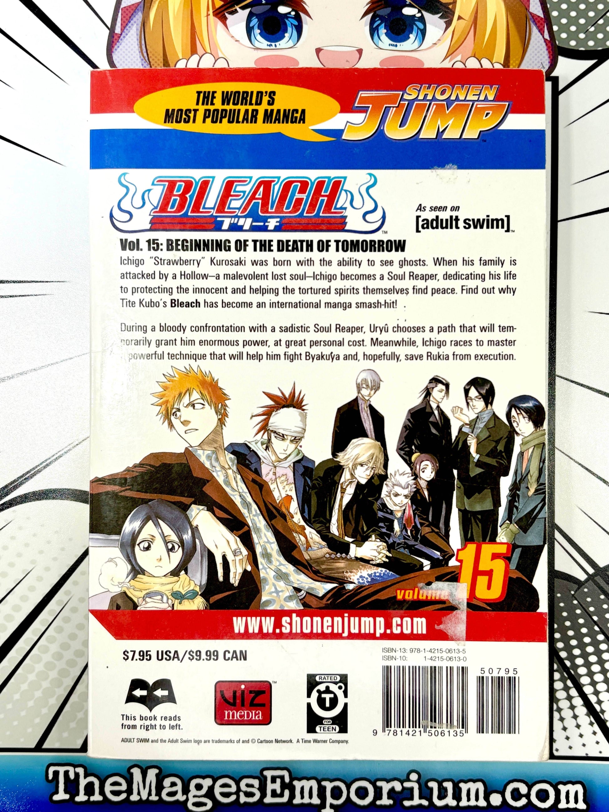Bleach Vol 15 - 