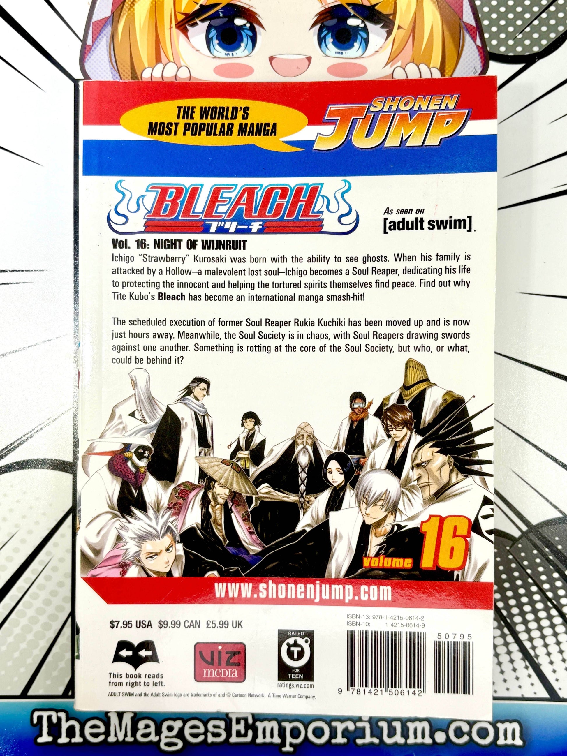 Bleach Vol 16 - 
