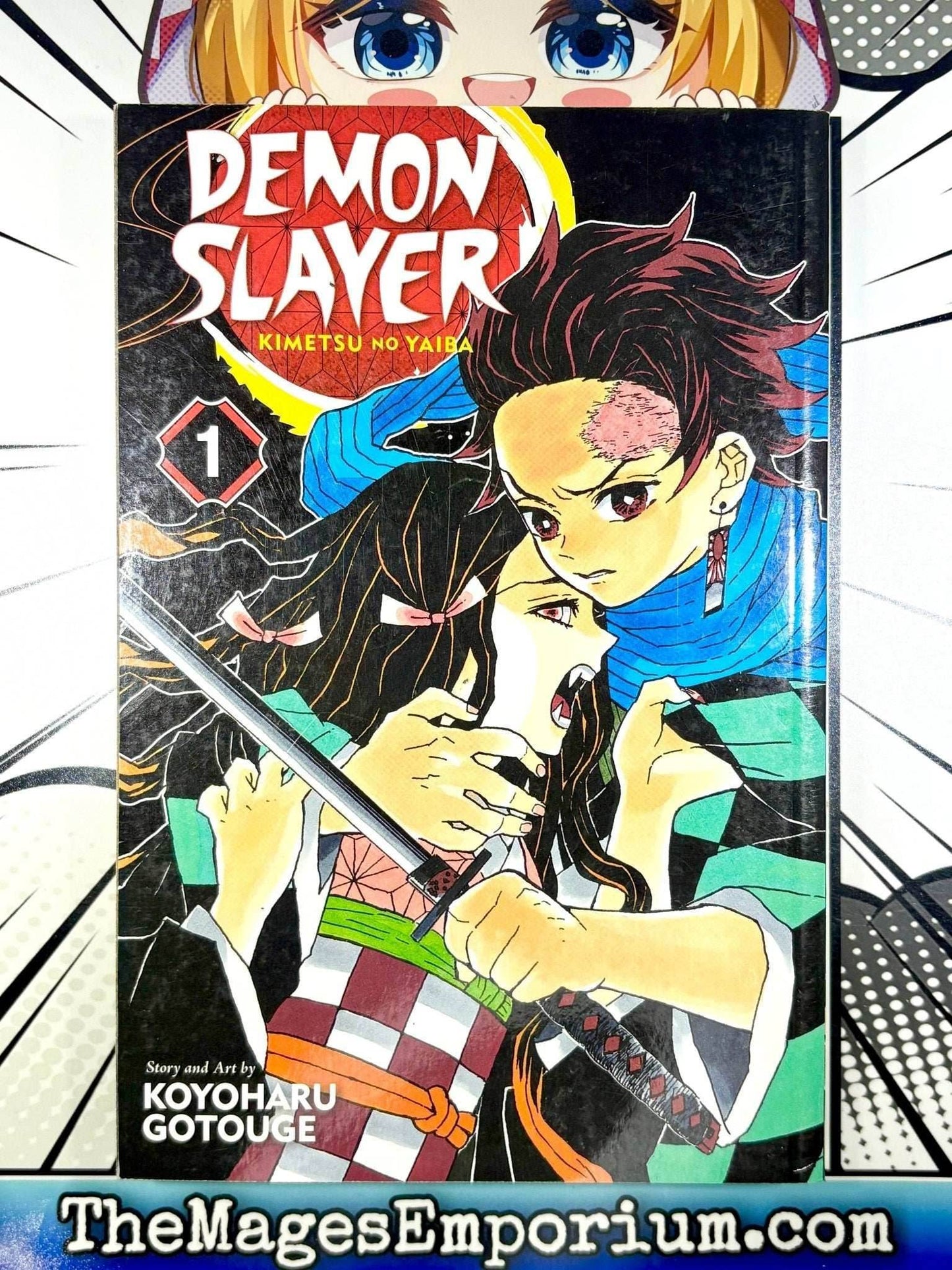 Demon Slayer Vol 1 - 