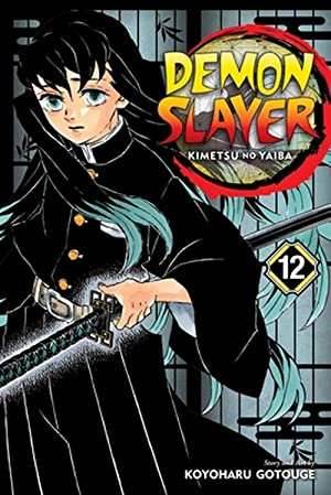 Demon Slayer Vol 12 - 