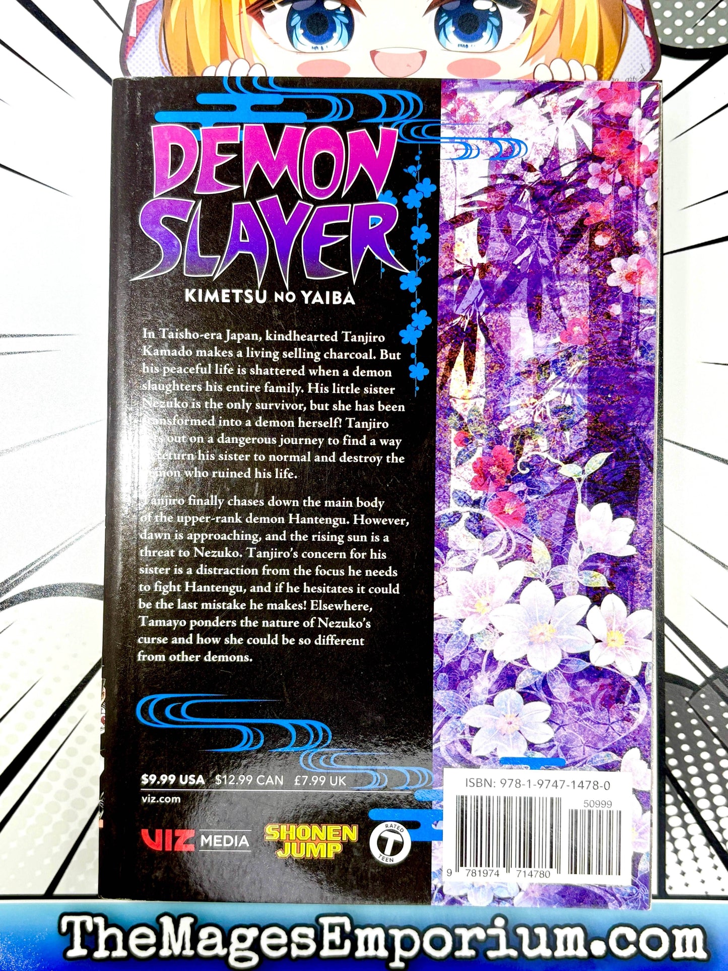 Demon Slayer Vol 15 - 