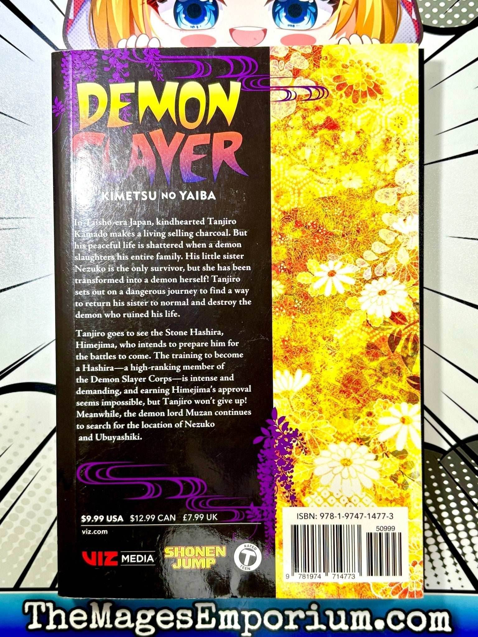 Demon Slayer Vol 16 - 