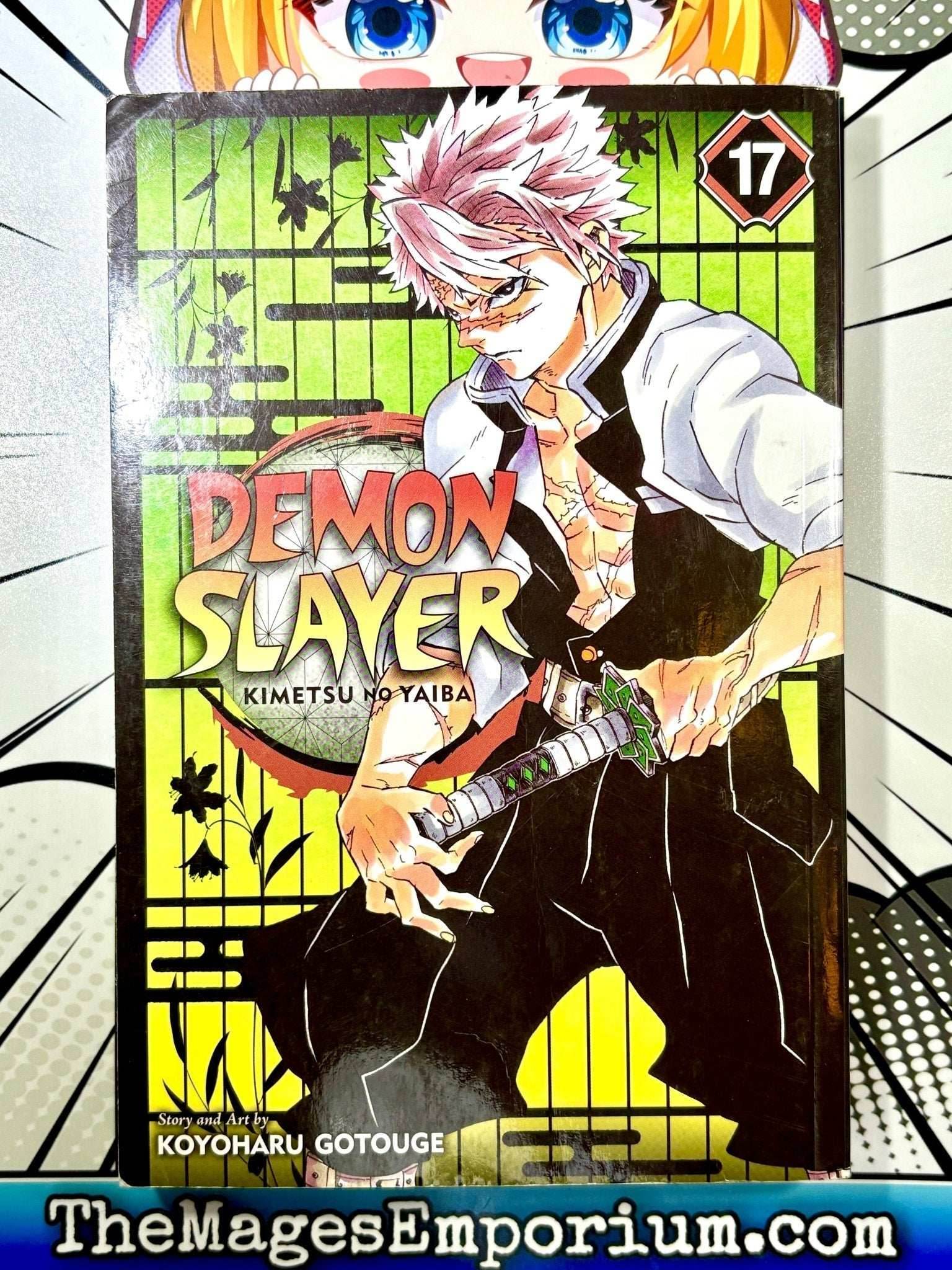 Demon Slayer Vol 17 - 