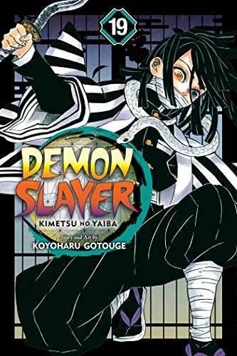 Demon Slayer Vol 19 - 