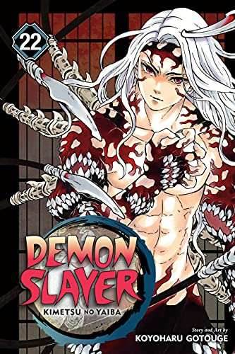 Demon Slayer Vol 22 - 