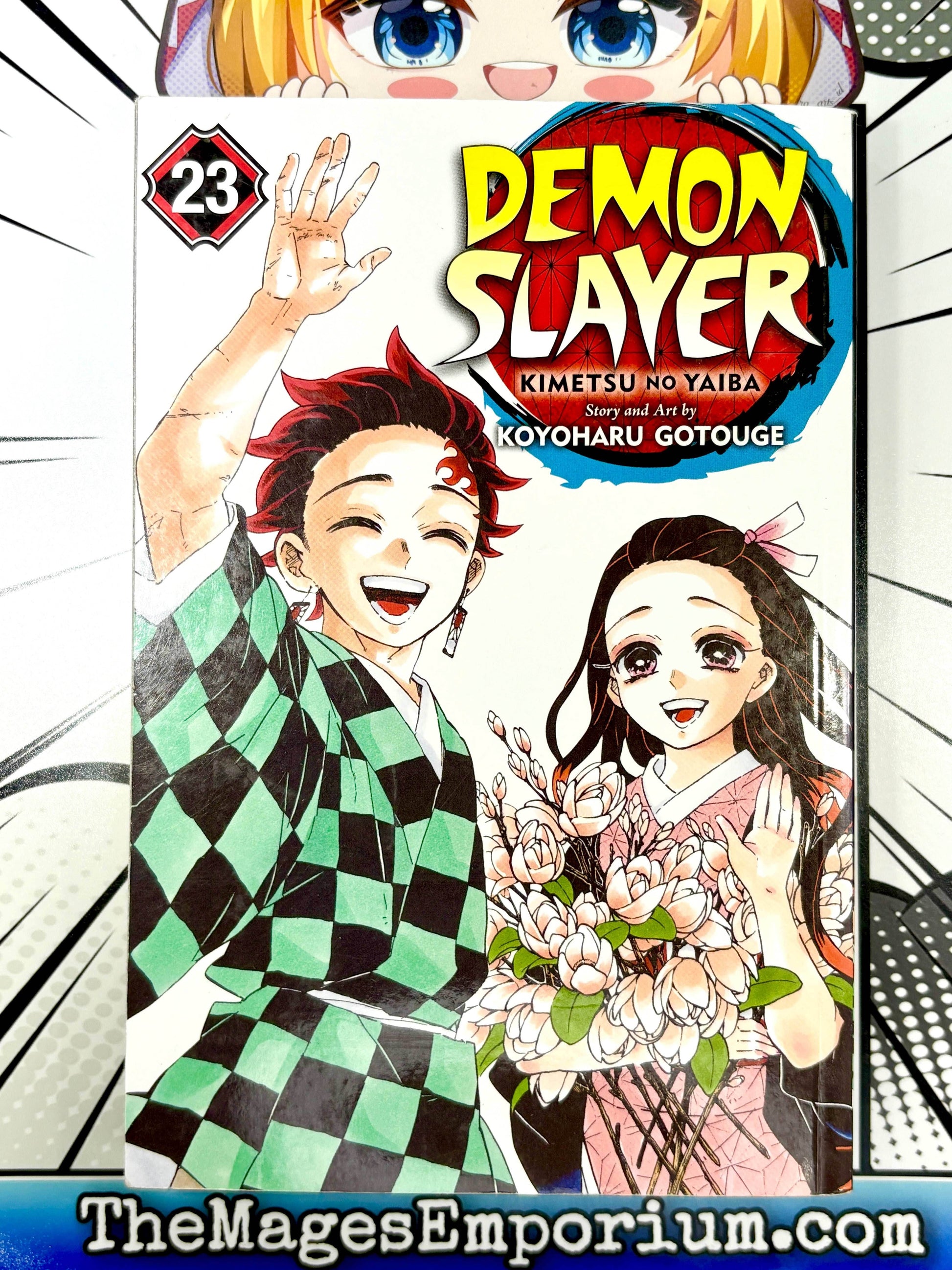 Demon Slayer Vol 23 - 