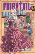 Fairy Tail Vol 14 - 