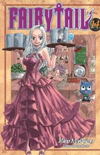 Fairy Tail Vol 14 - 