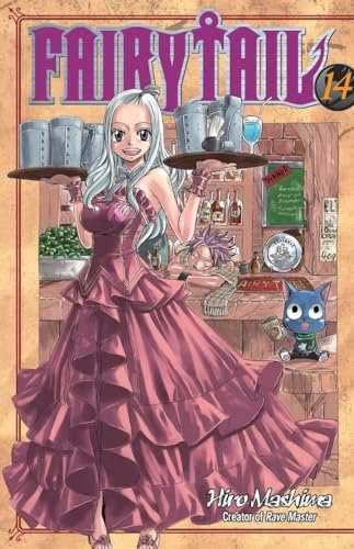 Fairy Tail Vol 14 - 