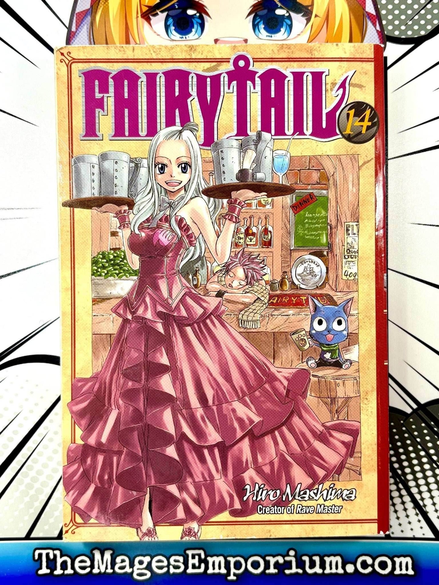Fairy Tail Vol 14 Five Below Cover - 