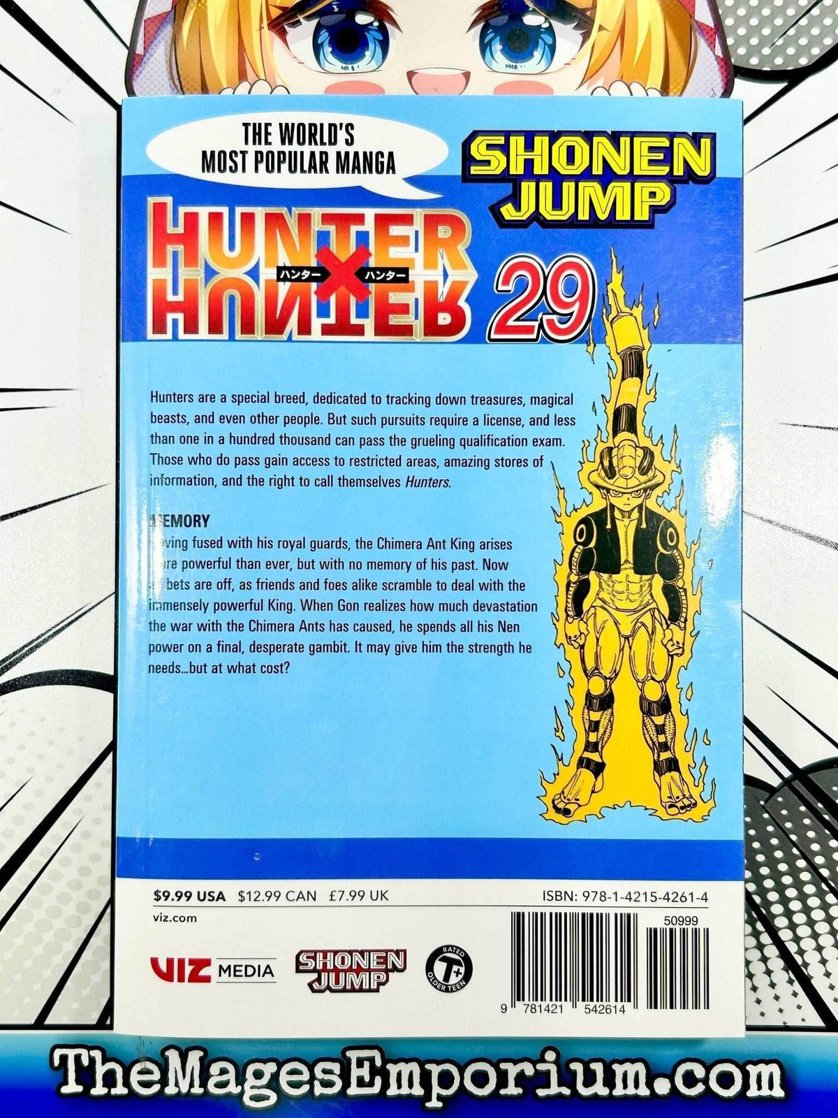 Hunter x Hunter Vol 29 - 