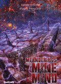 Meanderings of the Mine Mind - Role-Players