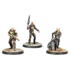 Fallout: Wasteland Warfare - Raiders - Ack-Ack, Sinjin & Avery - 
