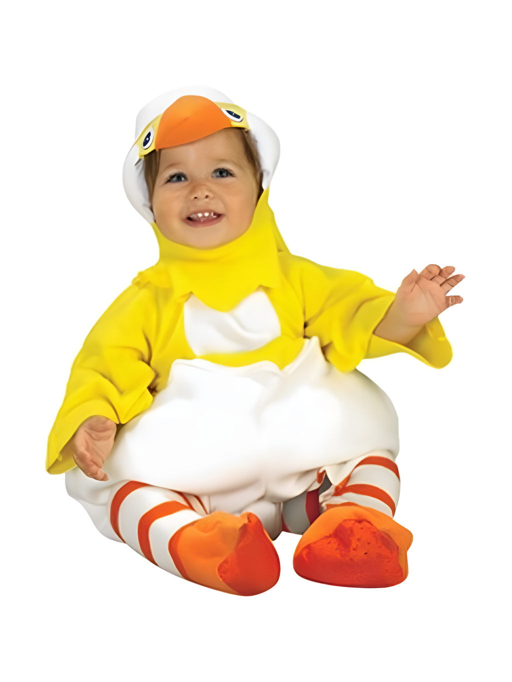 Baby Hatching Chicken