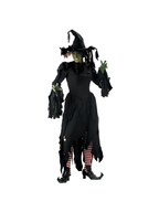 Adult Tattered Witch Costume
