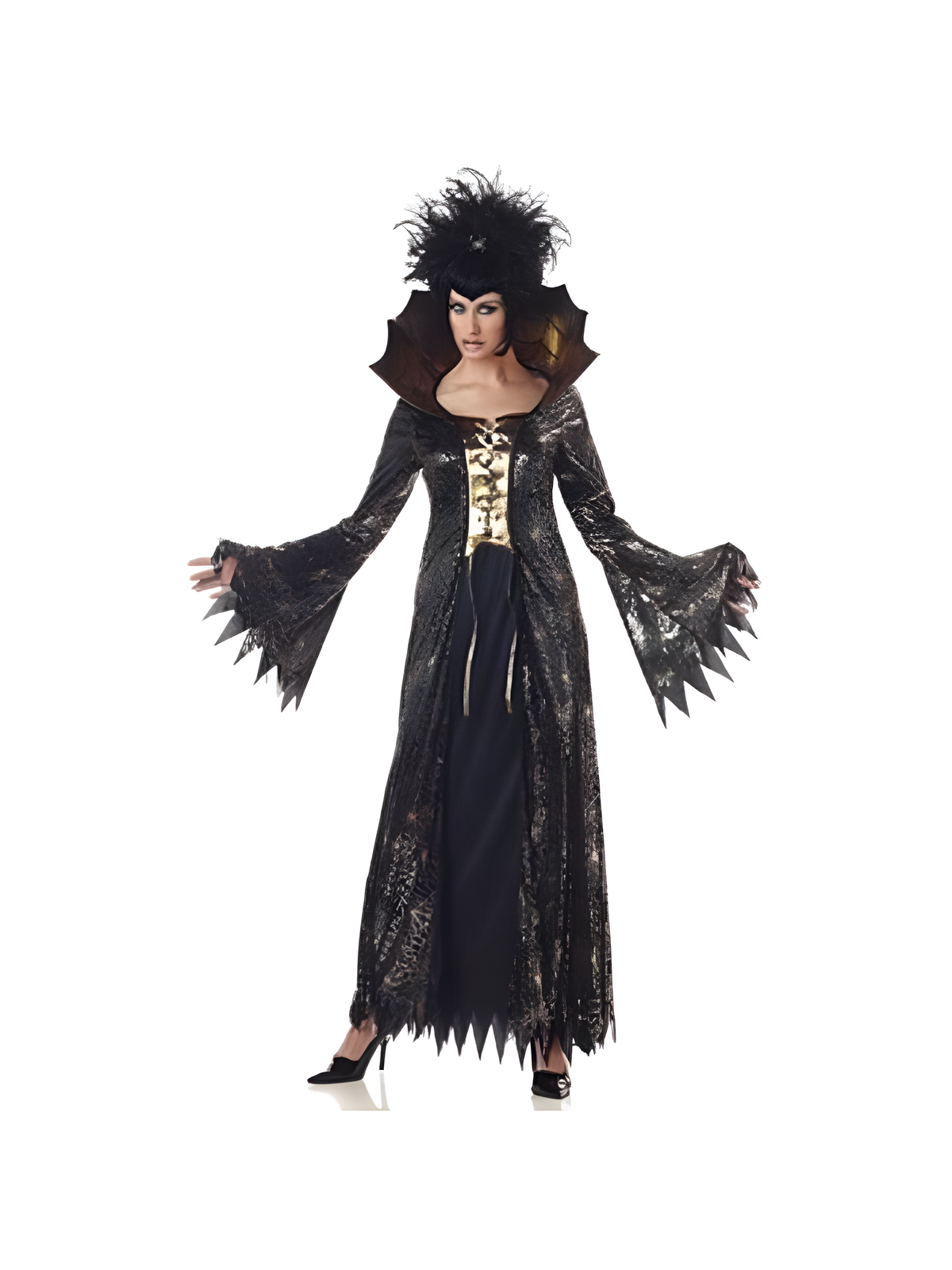 Adult Spider Witch Costume