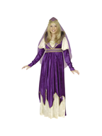 Adult Maiden Of Verona Costume