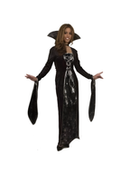 Adult Spider Vampiress Costume