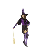 Adult Sexy Witch Costume