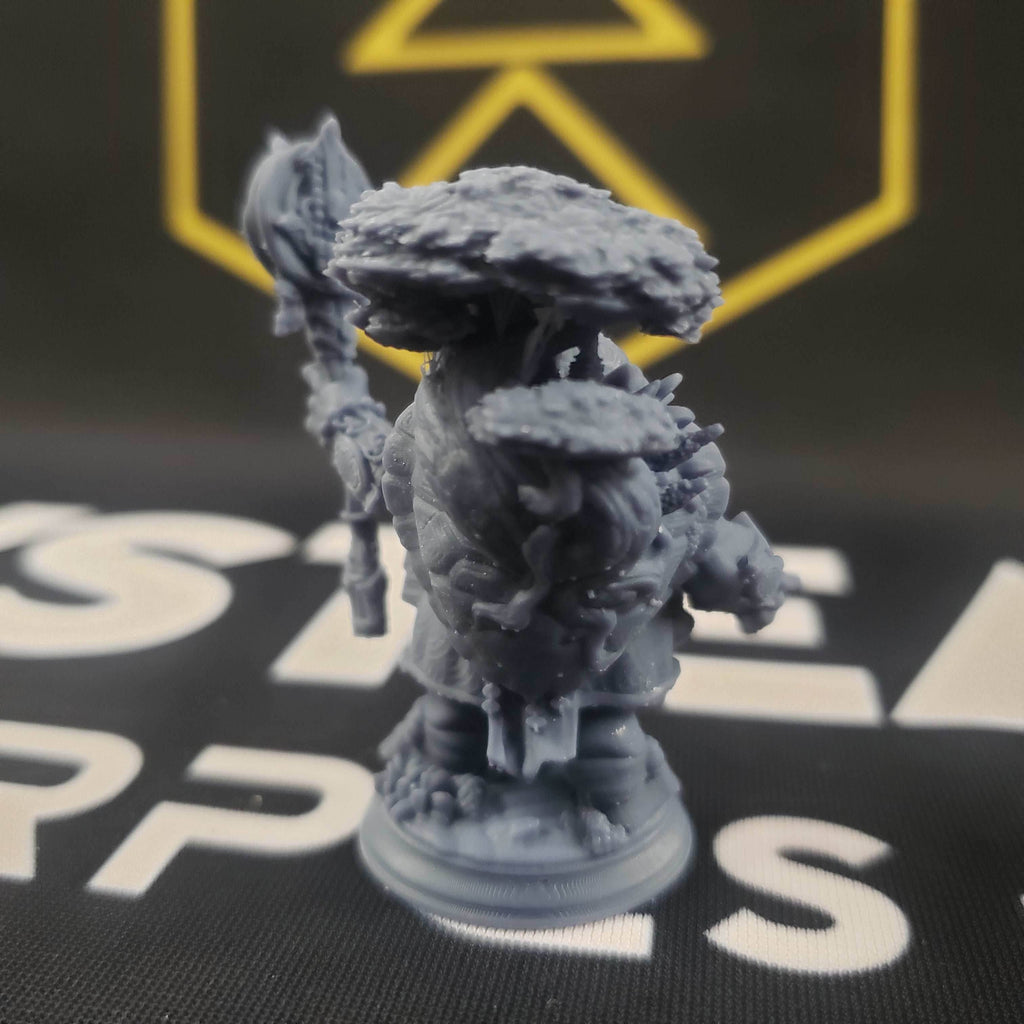 Elki, the Wanderer (Male Tortle Cleric) - 32mm Scale