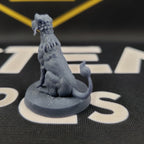 The Last Blink Dog