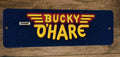 4x12 Bucky O'Hare Video Game Banner Marquee