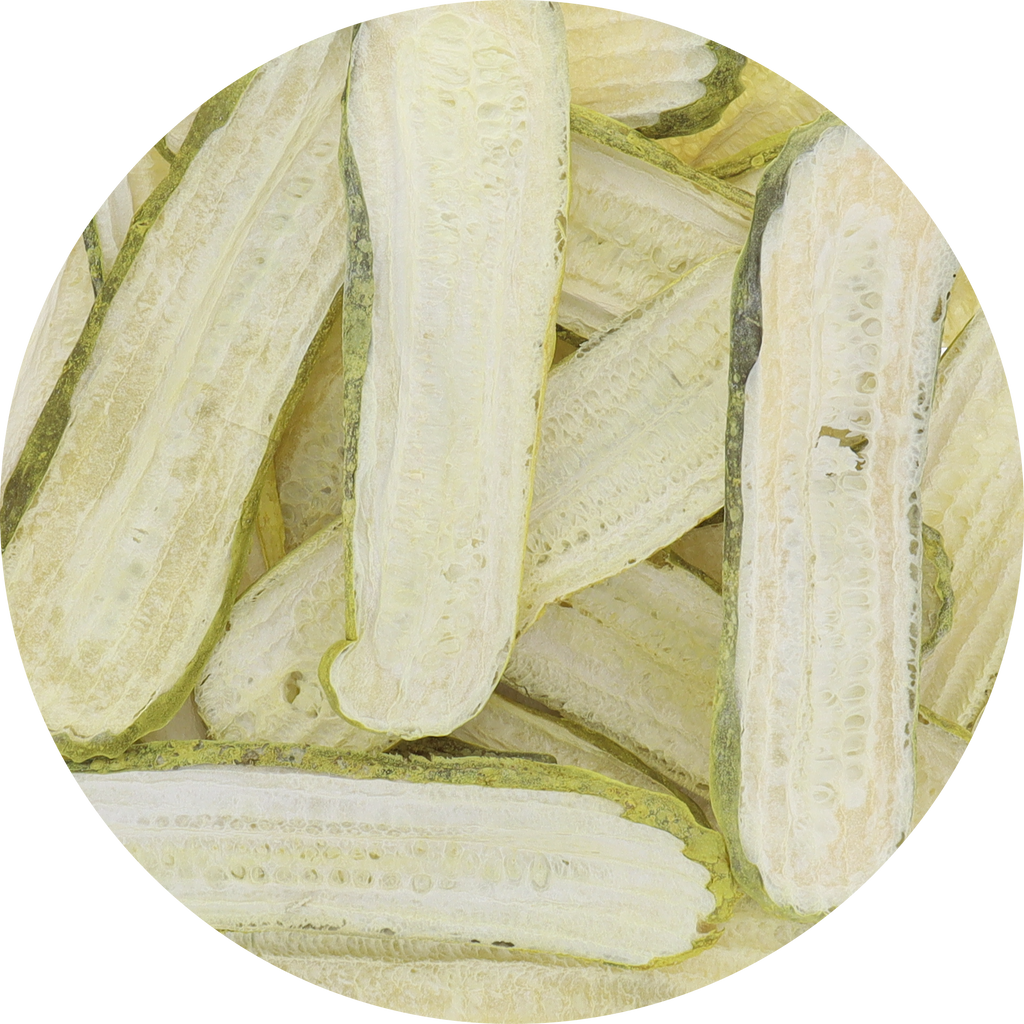 Freeze Dried Kosher Dill Pickle Slices from Jersey Pickles