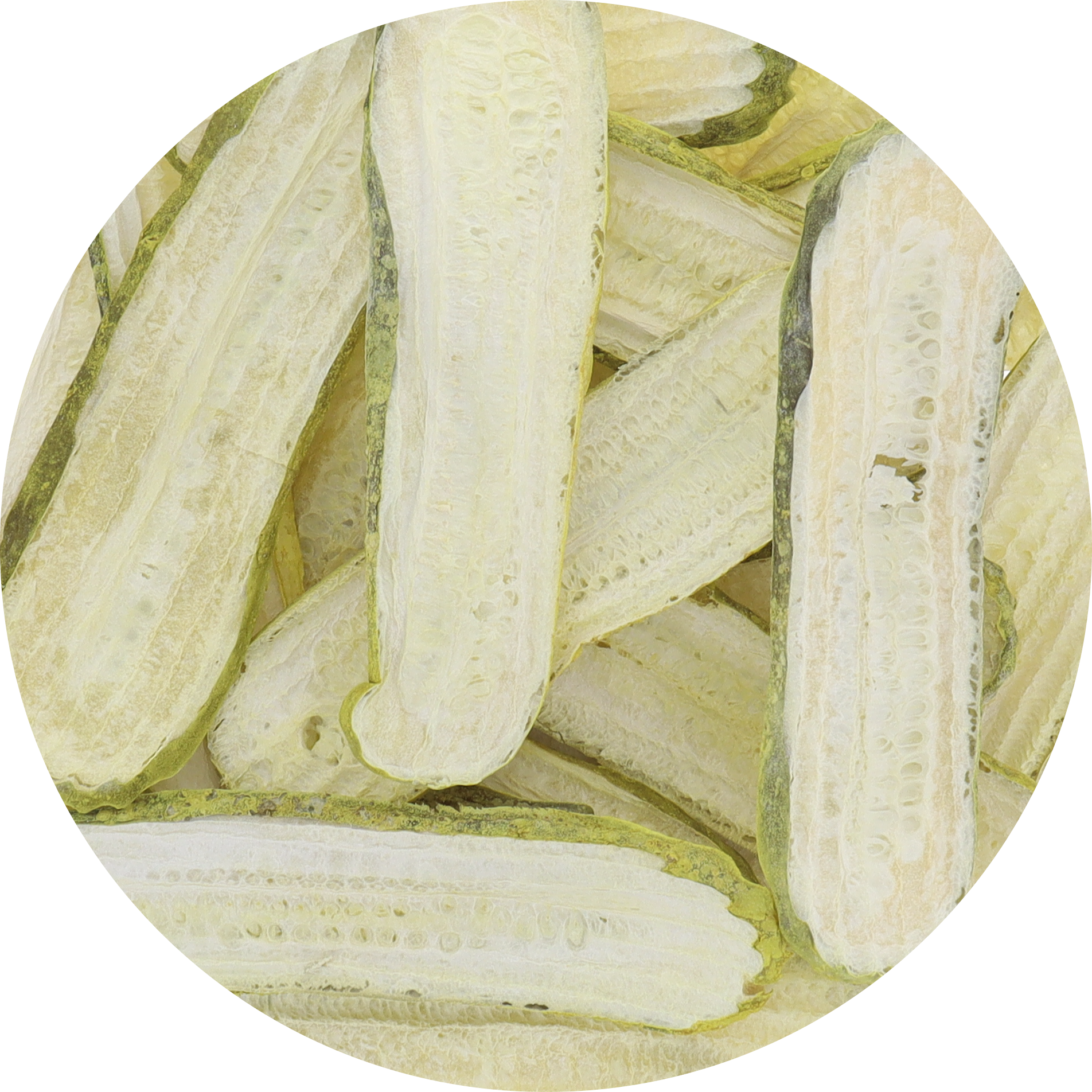 Freeze Dried Kosher Dill Pickle Slices from Jersey Pickles