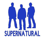 Supernatural Winchester Vinyl Decal Sticker Halloween Horror Metaphysical
