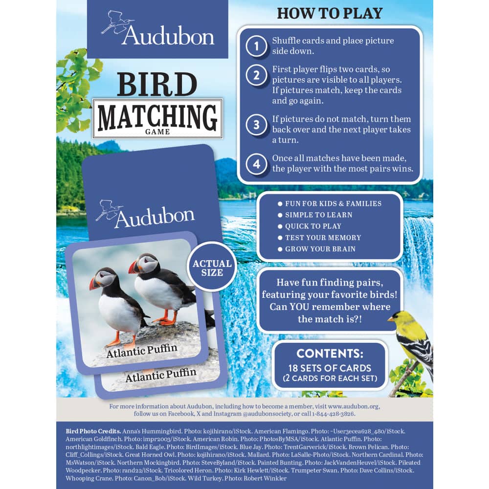 Audubon - Bird Matching Game