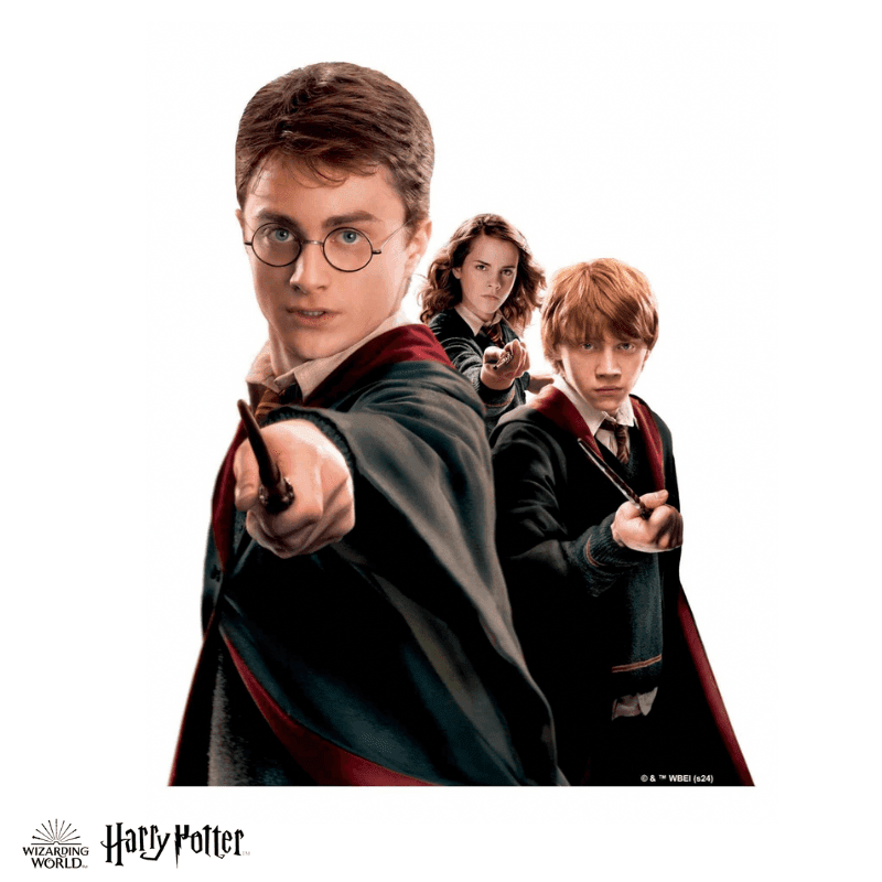 Harry Potter - The Wizarding Friends Wooden Jigsaw Puzzle - A4 + Wooden Gift Box