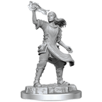 D&D: Nolzur's Marvelous Miniatures - Aasimar Cleric Female - 