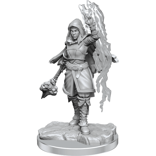 D&D: Nolzur's Marvelous Miniatures - Half-Elf Warlock - 