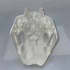 Vintage Star Wars POTF Ewok Battle Wagon Skull Repro Replacement Part Kenner Toys from Ewok Cartoon