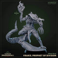 Vrakis, Prophet of Division (Male Dragonborn Mage) - 
