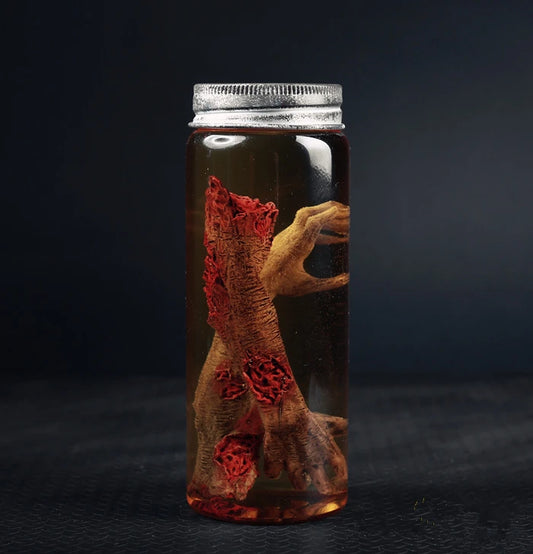 Walking Dead Zombie Jar body parts horror Specimen experiment Movie Prop Replica